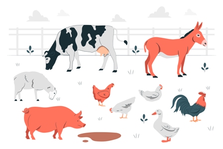 Livestock