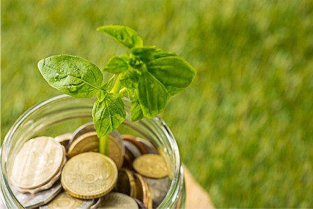 Coins in glass jar with plant